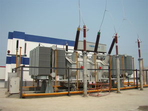 中国水利水电第七工程局 长洲水电站外江机组最后一台主变压器安装完成